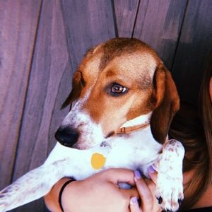 Meet your Posher, Fia